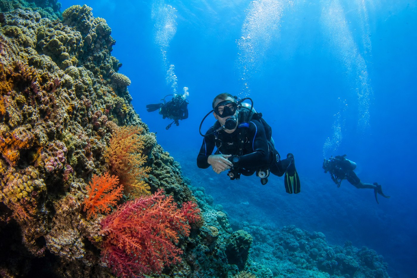 Open Water